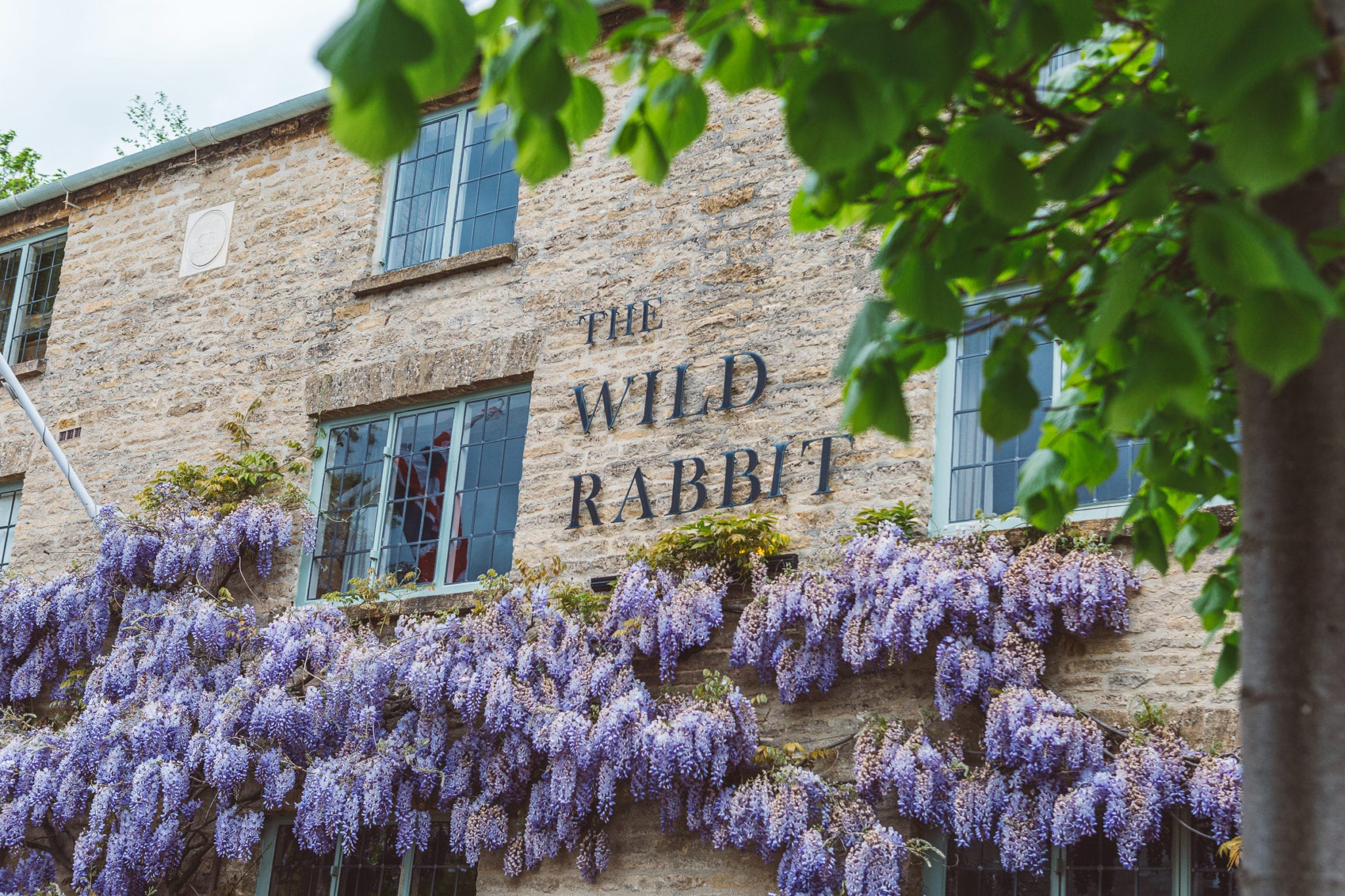 The Wild Rabbit Cotswolds