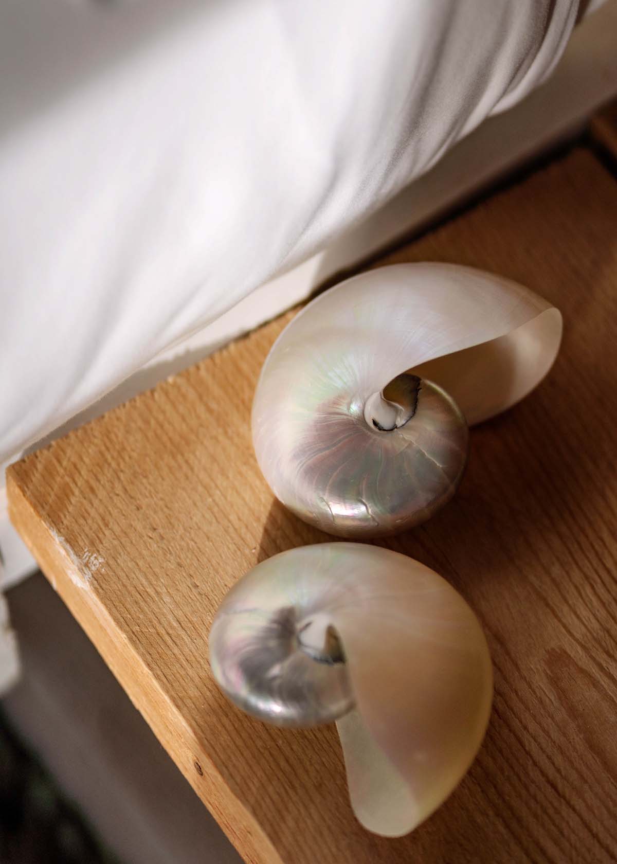 Pearlescent decorative shells