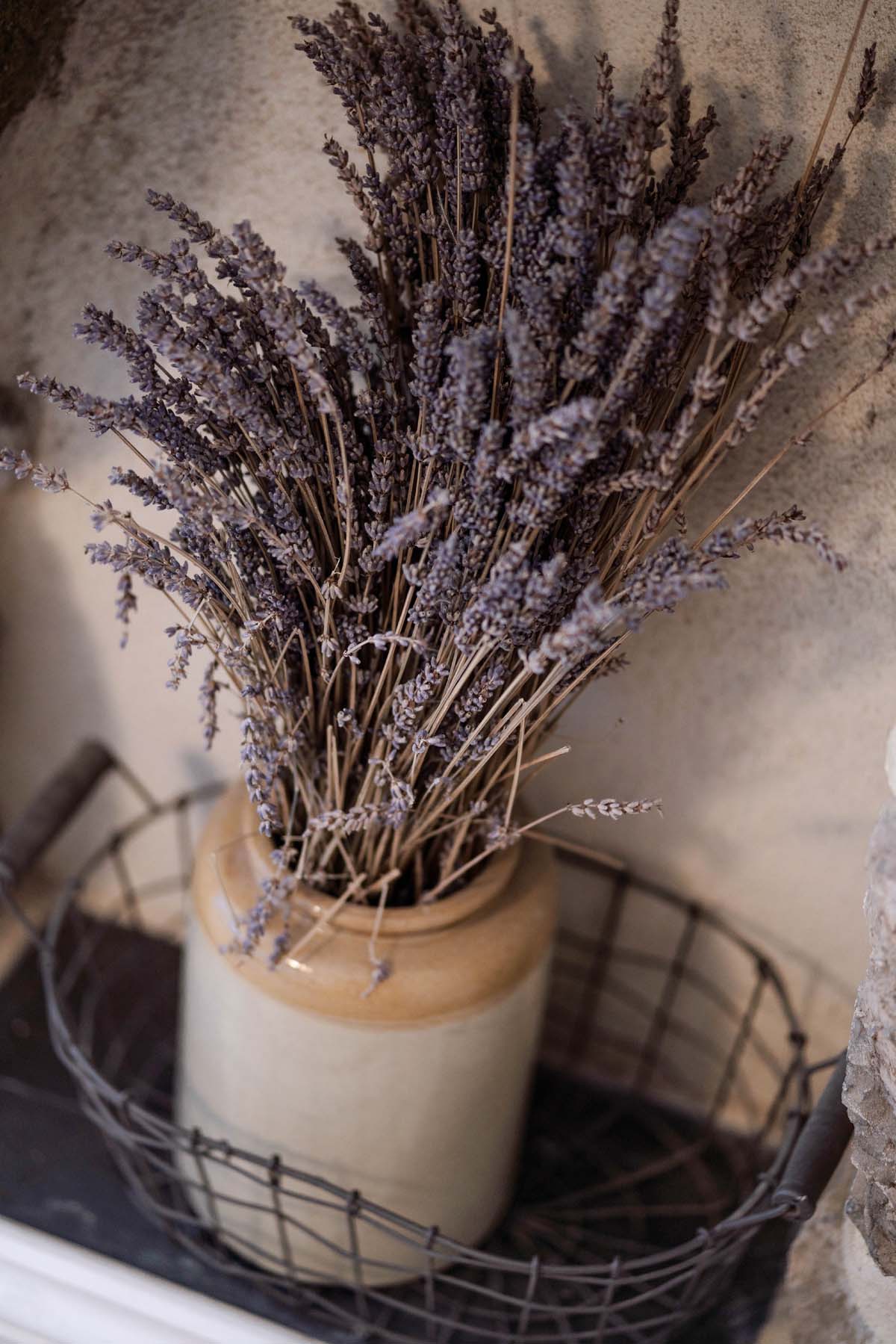 Dried lavender in a vase