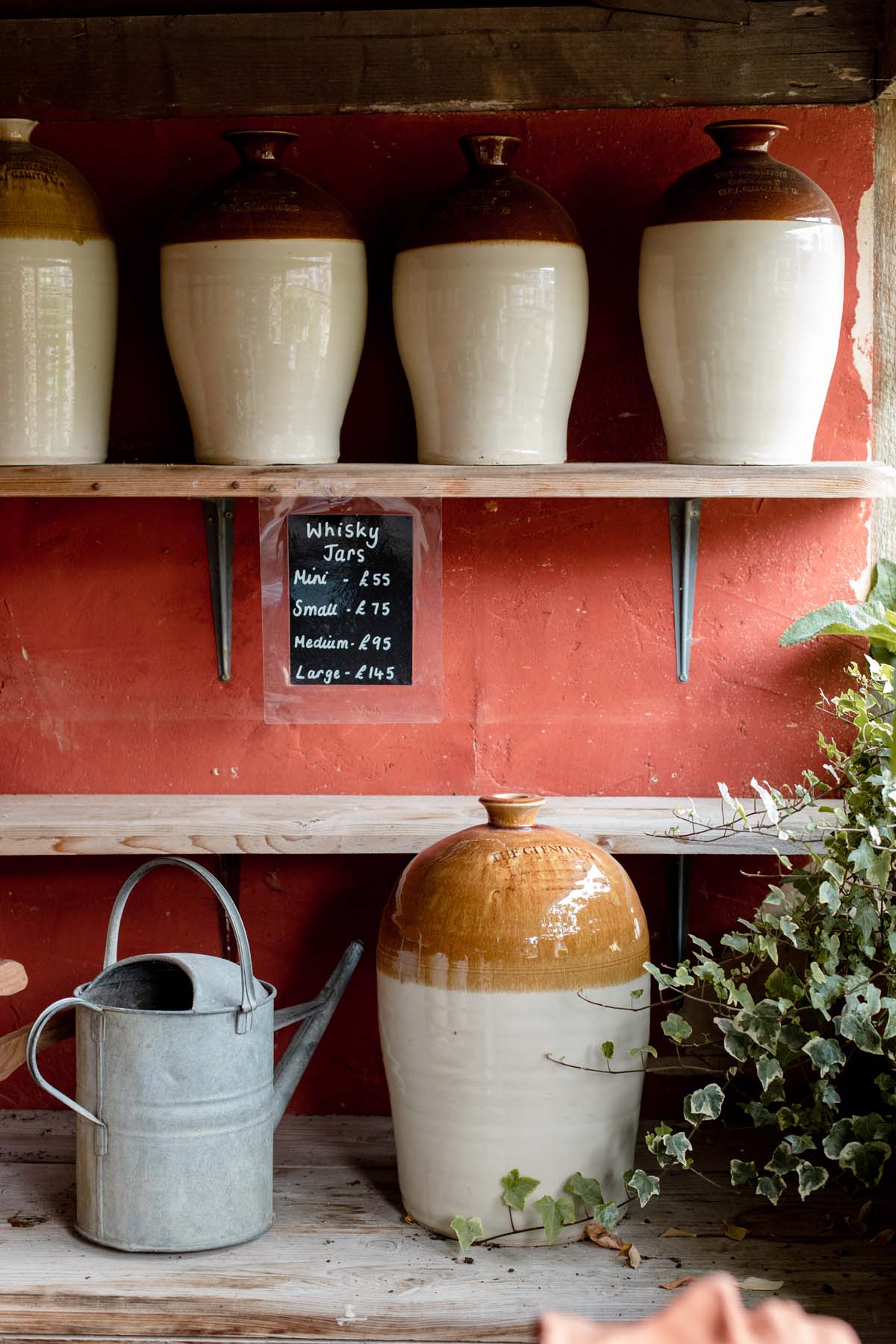 Large Plant Pots and Watering Can