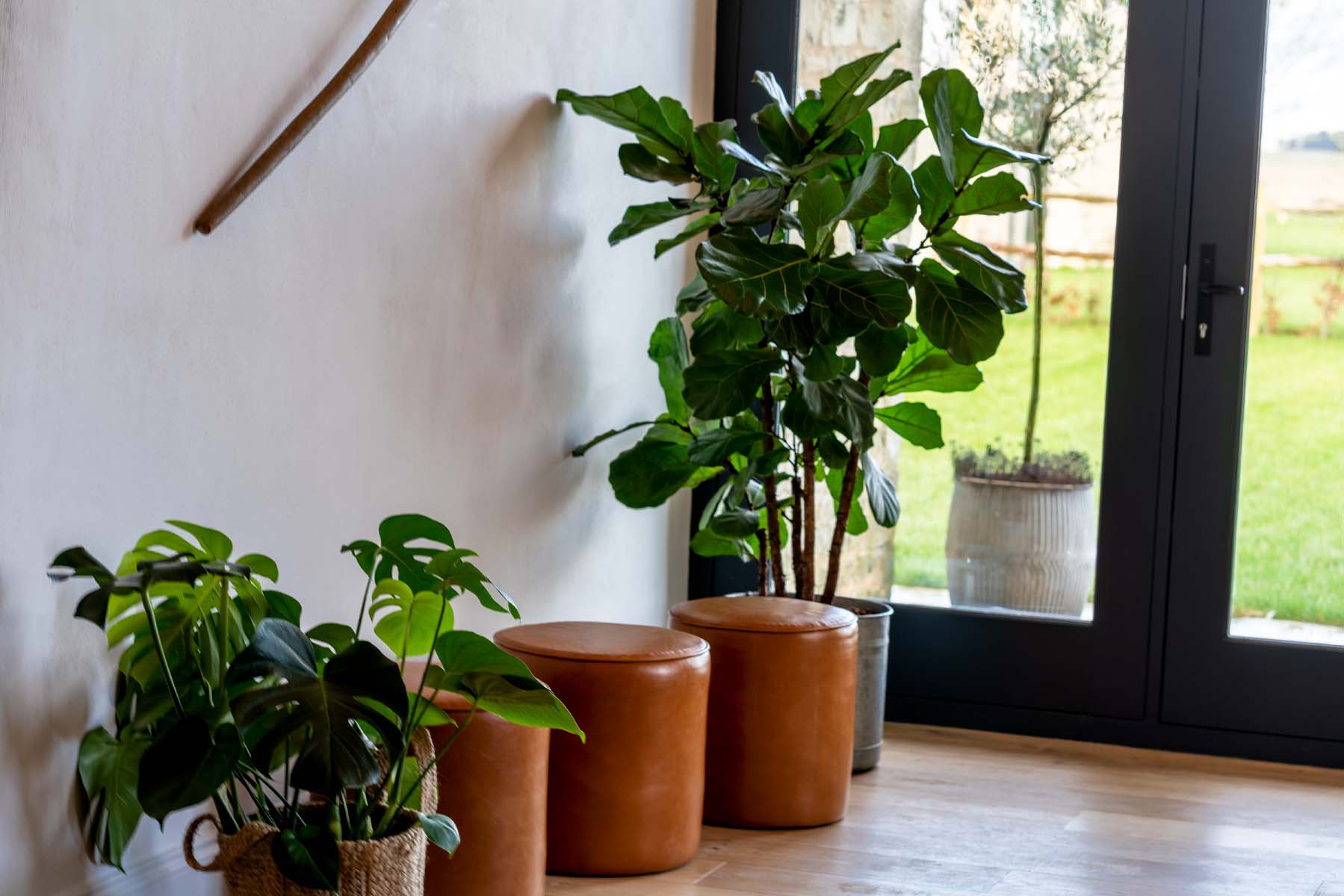 Plants and leather stools by a glass entrance