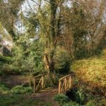 wild English garden with bridge