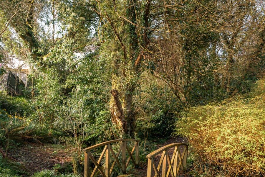 wild English garden with bridge