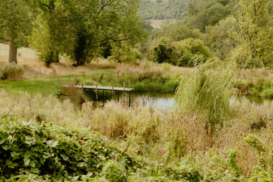 Countryside view of a wooden jetty on a small pond, surrounded by tall grasses, a weeping willow, and wooded hills beyond.