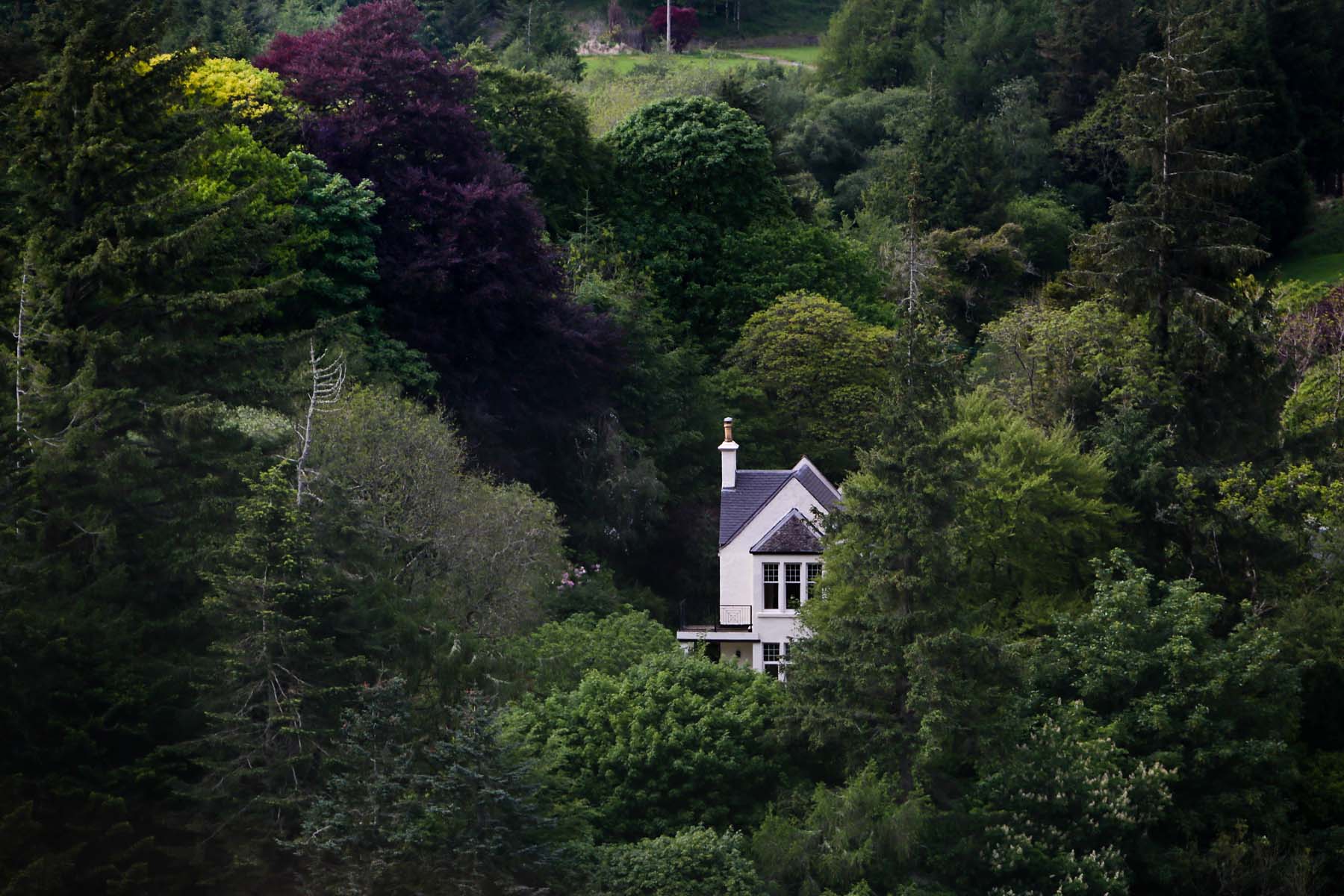 scotland large house in trees