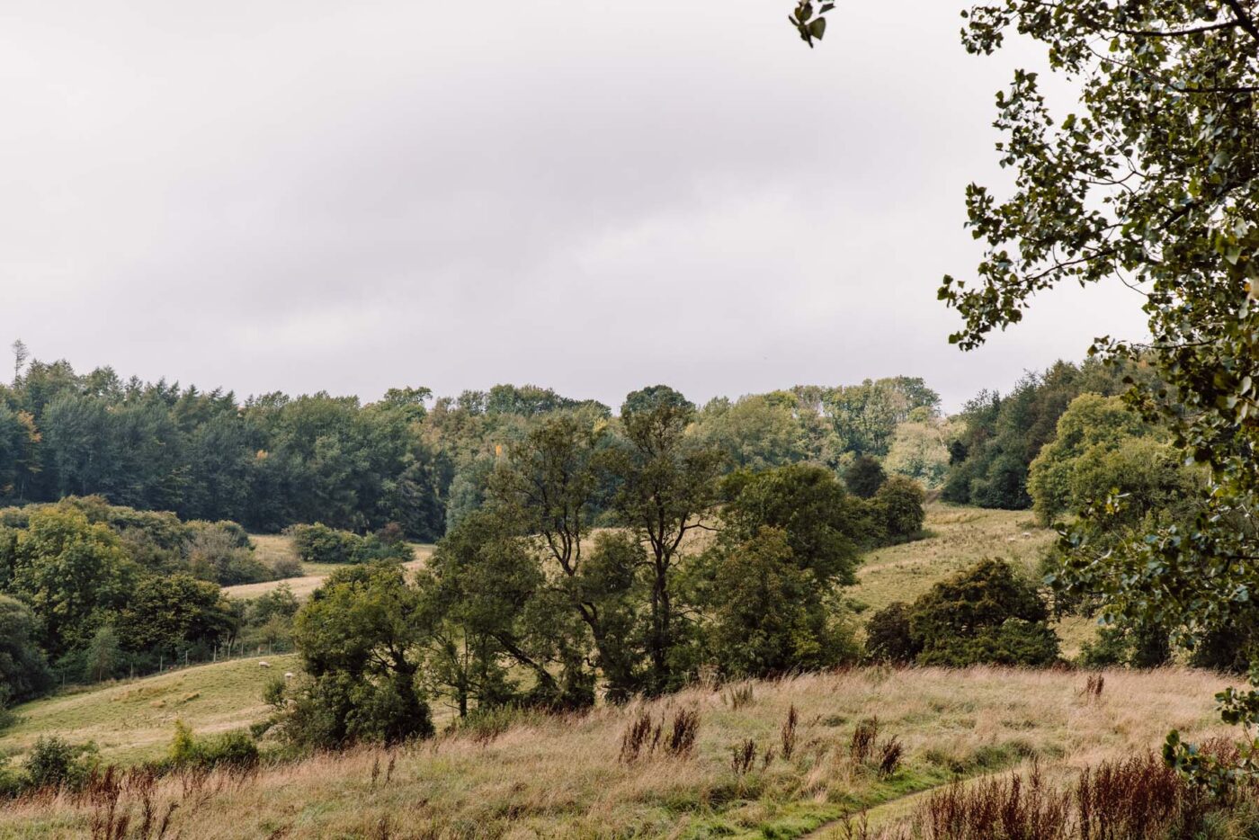 Cotswold Fields