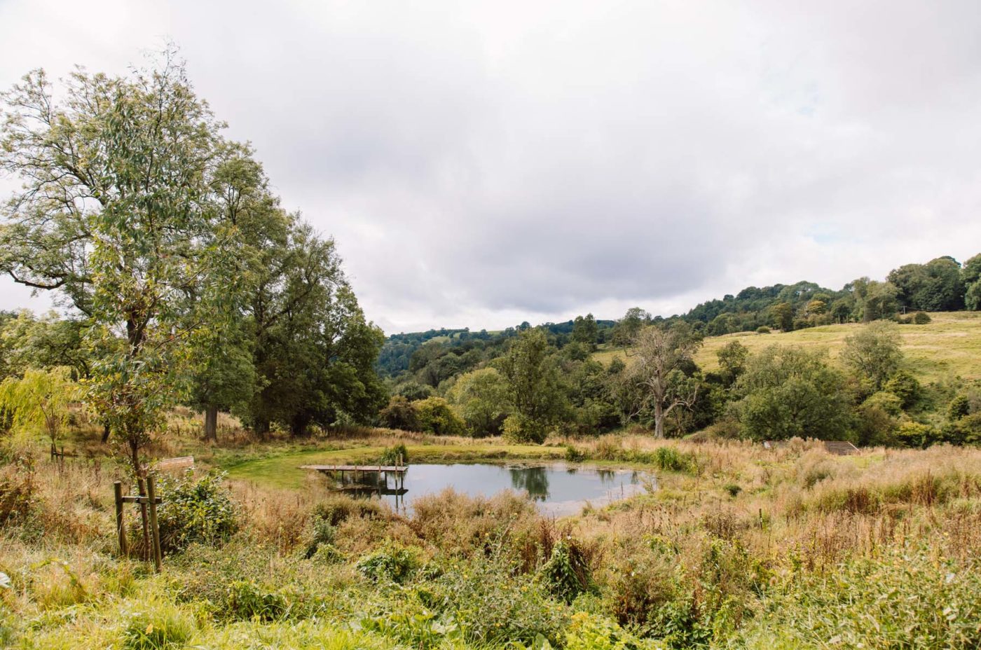 Cotswold Pond and Fields