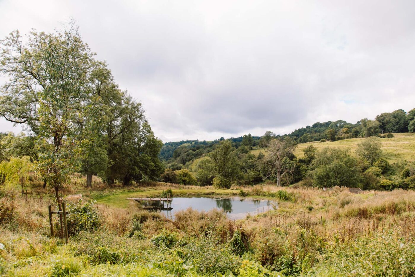 Cotswold Pond and Fields