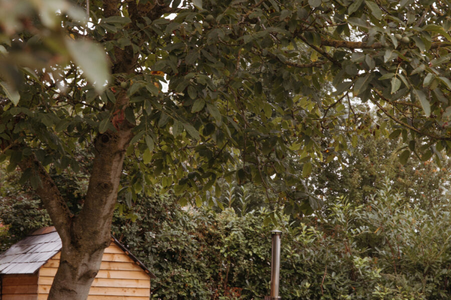 A wooden hot tub in a garden