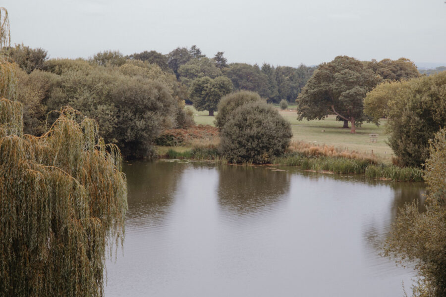 A lake surrounded by trees and fields