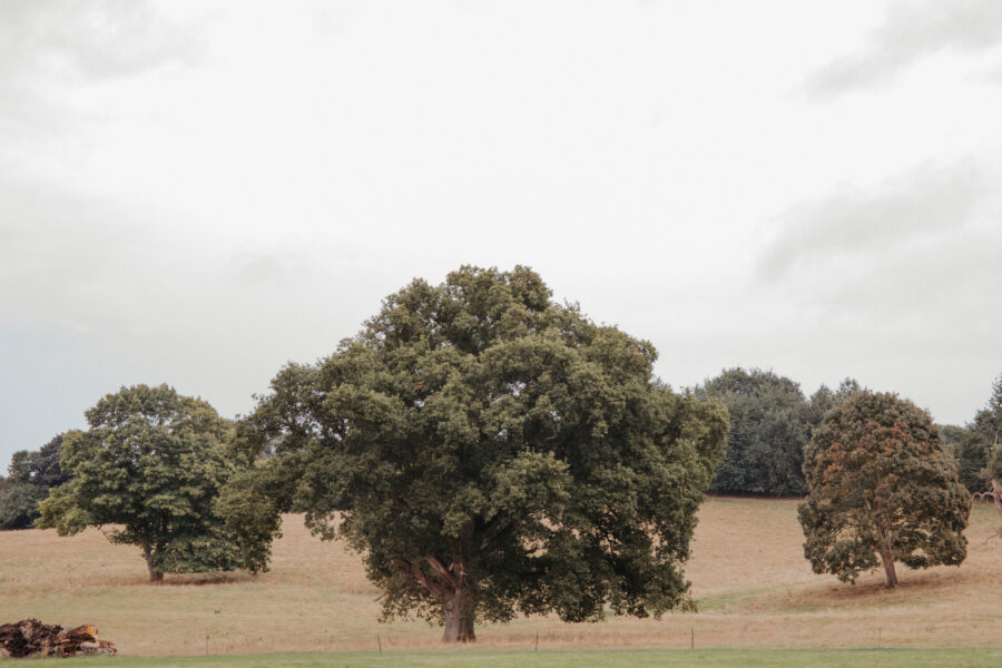 Beautiful Somerset countryside