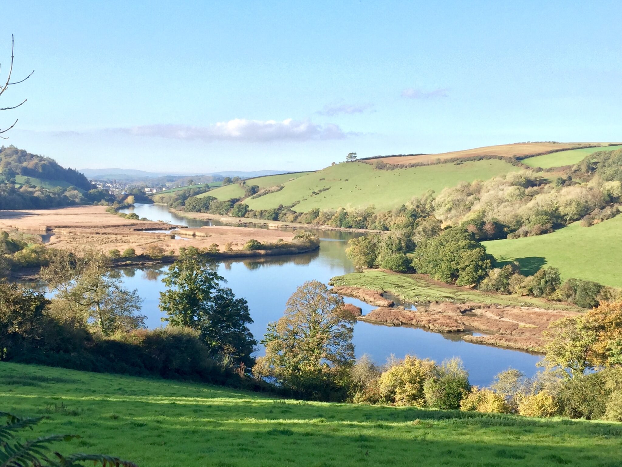 The River Dart and surrounding countryside in the sunshine