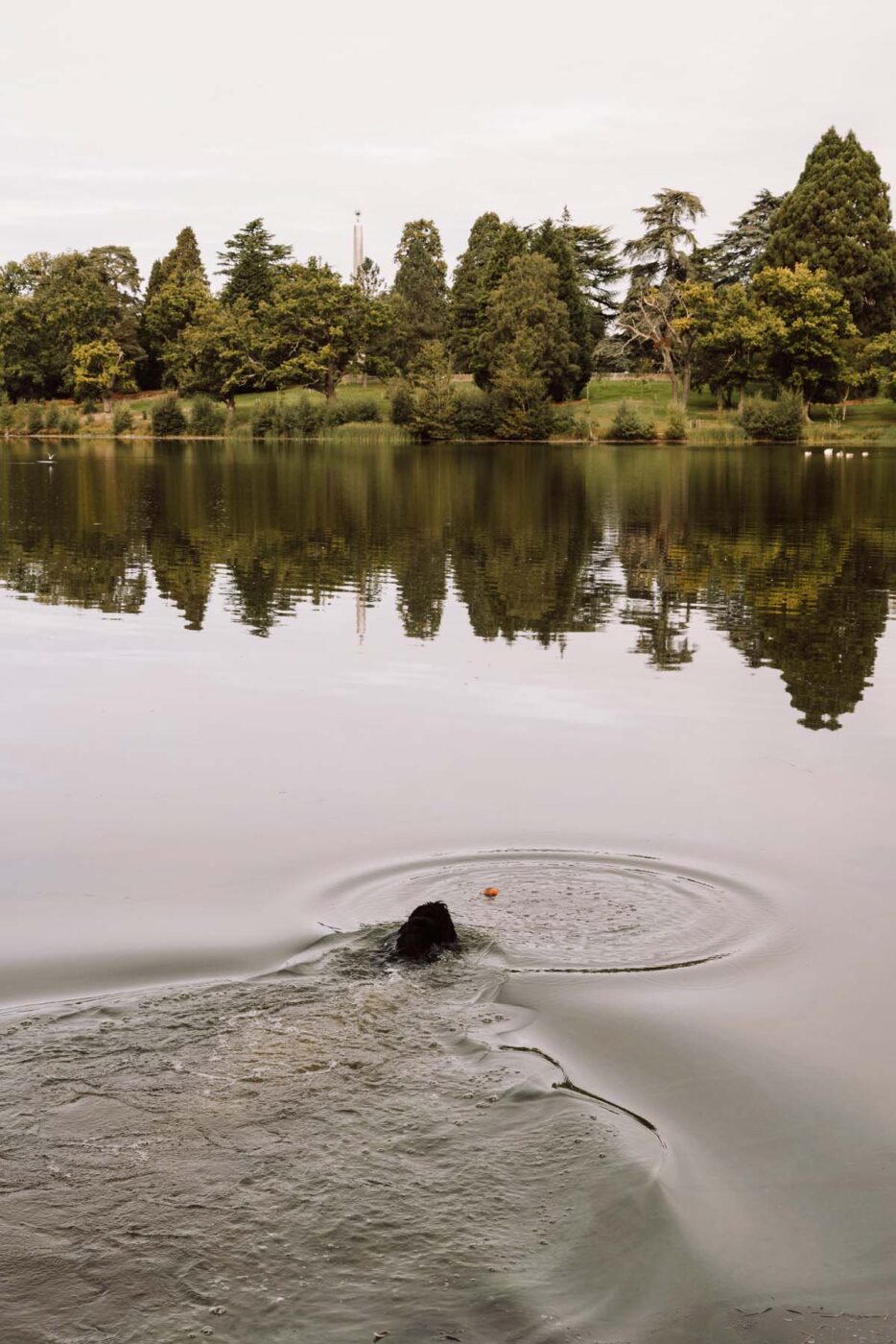 Windsor Great Park Lake