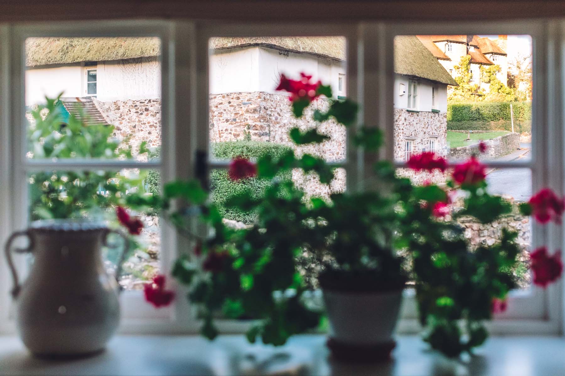 Flowers on a kitchen window sill