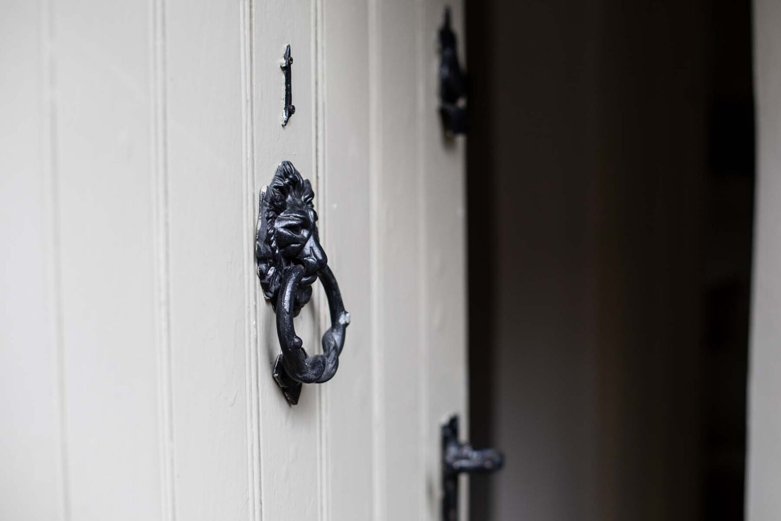 close up of front door knocker