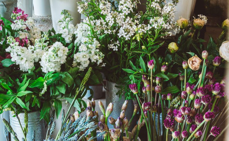 Jasmine House Beautiful Family Home In The Cotswolds Sand Stone