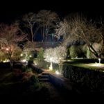 Cottage gardens lit up at night