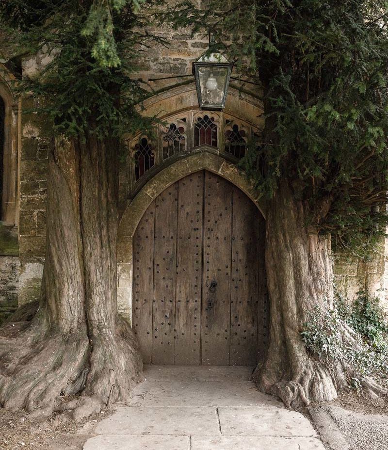 An old church door in between two old trees