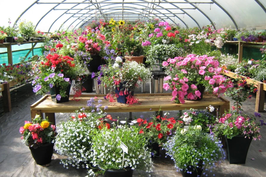 flower nursery