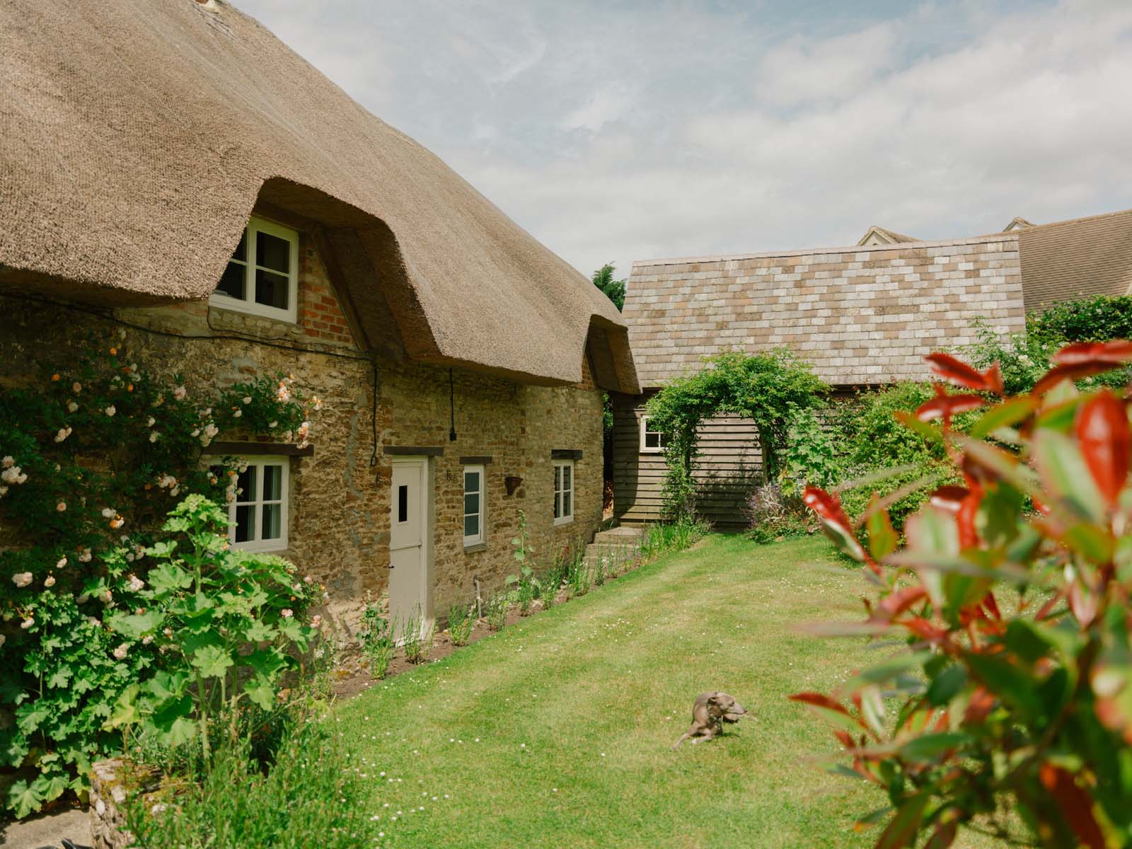 thatched cottage with white front door and lawned garden