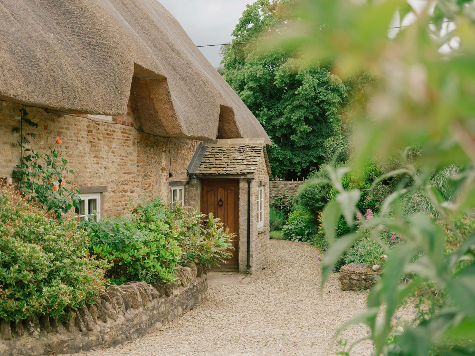 thatched cottage surrounded by greenery