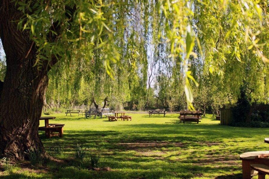 pretty riverside pub garden in sun