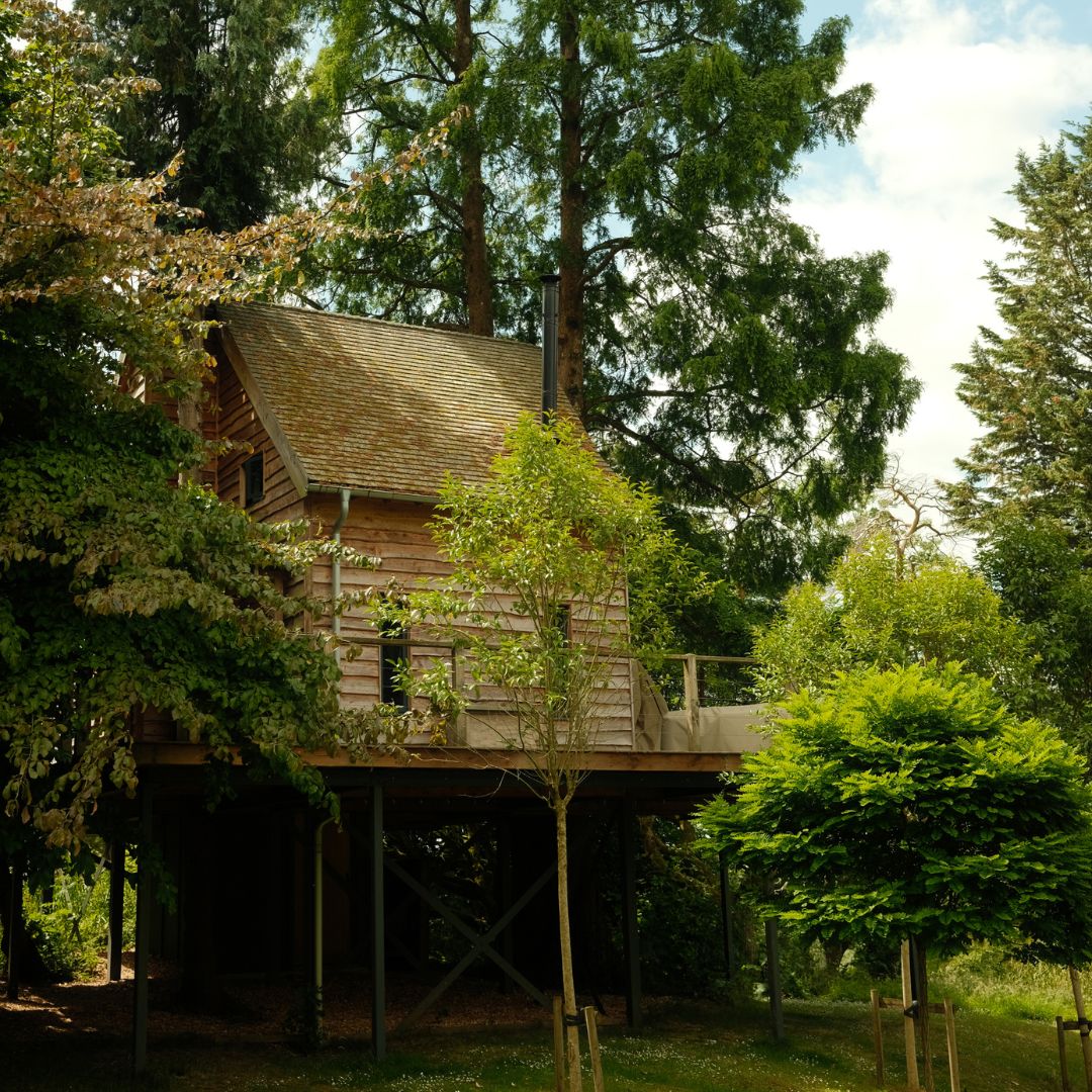 A tree house surrounded by verdant greenery backed with bright blue skies