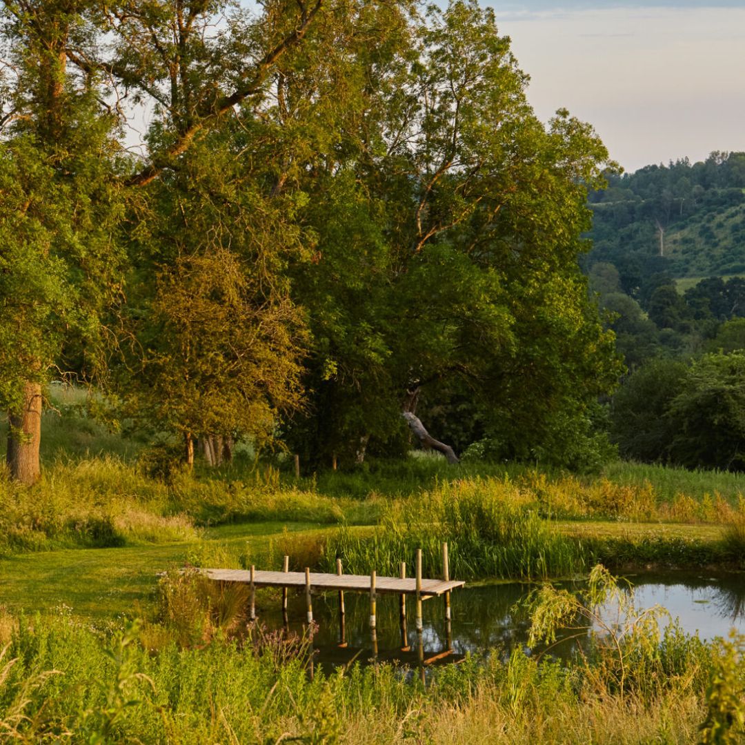 A pond with a dock surrounded by vast trees and beautiful greenery.