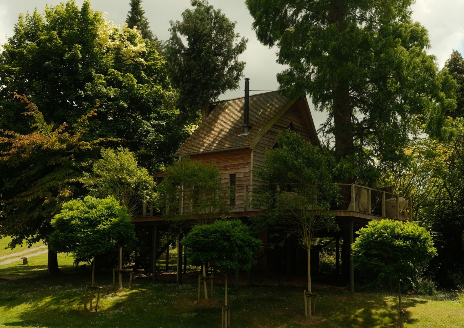 A tree house sits among the trees surrounded by greenery.