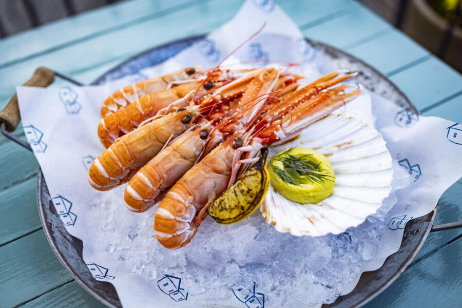 Cooked prawns on a plate of ice