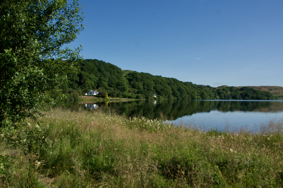 Loch surrounded by greenery and blue skies