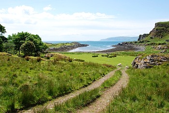 Grassy island with sea in the distance