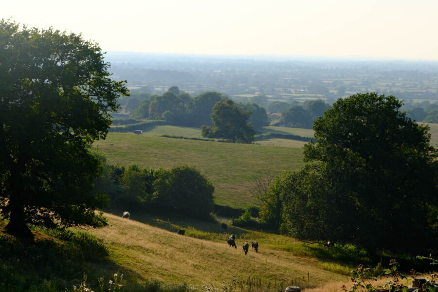 Cheshire countryside