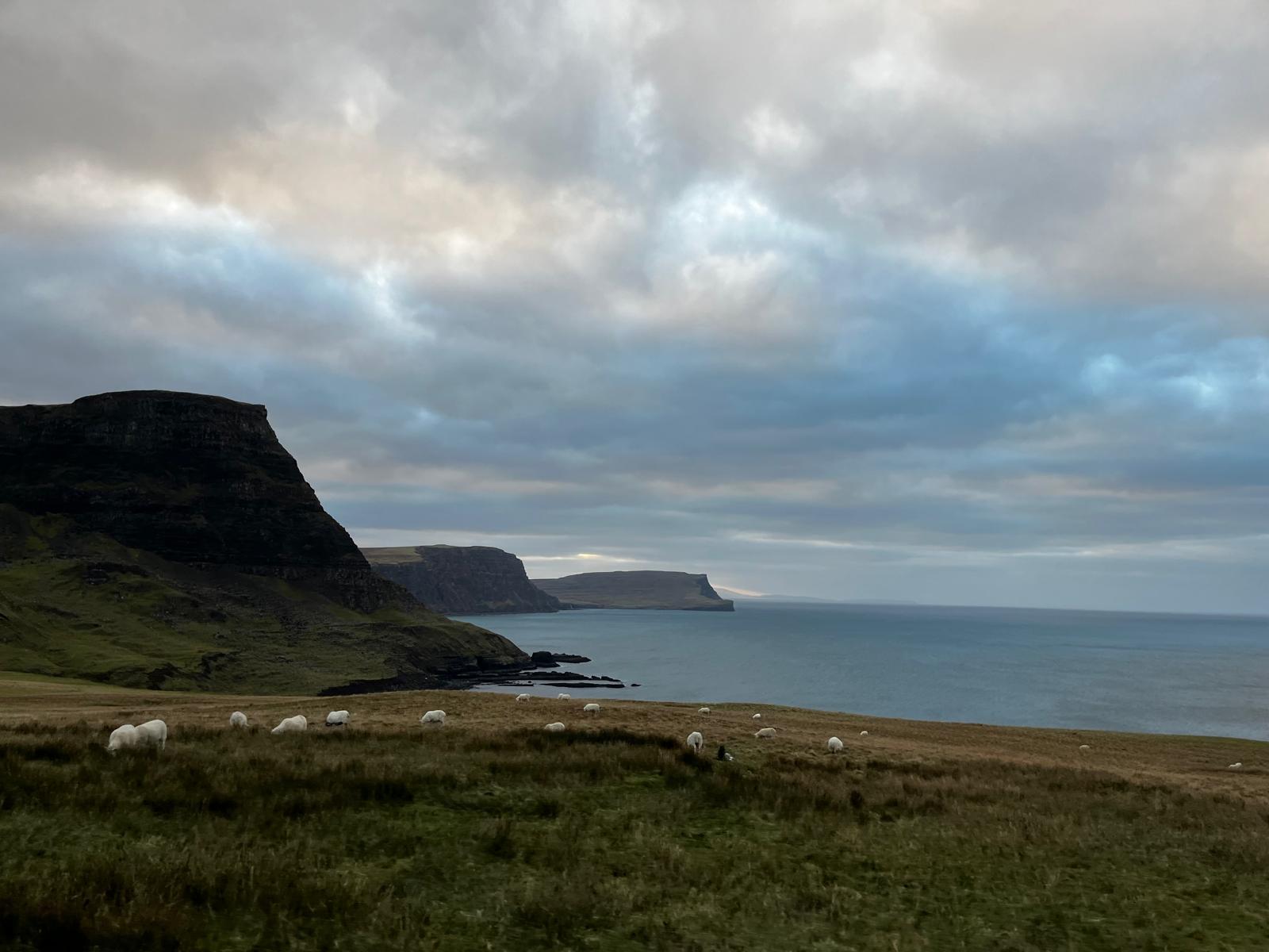 Coastal cliffs with grazing sheep — Sheep graze across a headland of golden grass as dark, flat-topped cliffs step out toward a calm sea beneath a heavy, glowing sky at dusk.