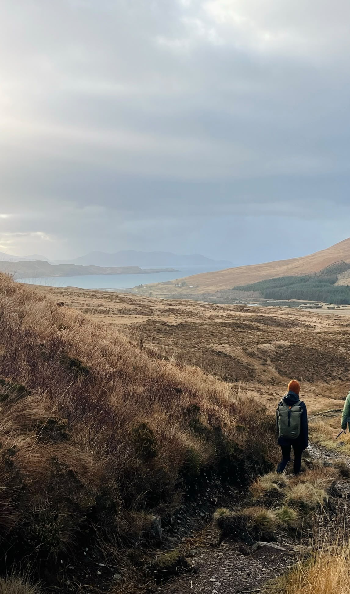 Hikers descending toward the coast — Two hikers in warm layers make their way down a heather-lined slope, with a sweep of moorland, forest, and a sea loch unfolding in the misty distance below.
