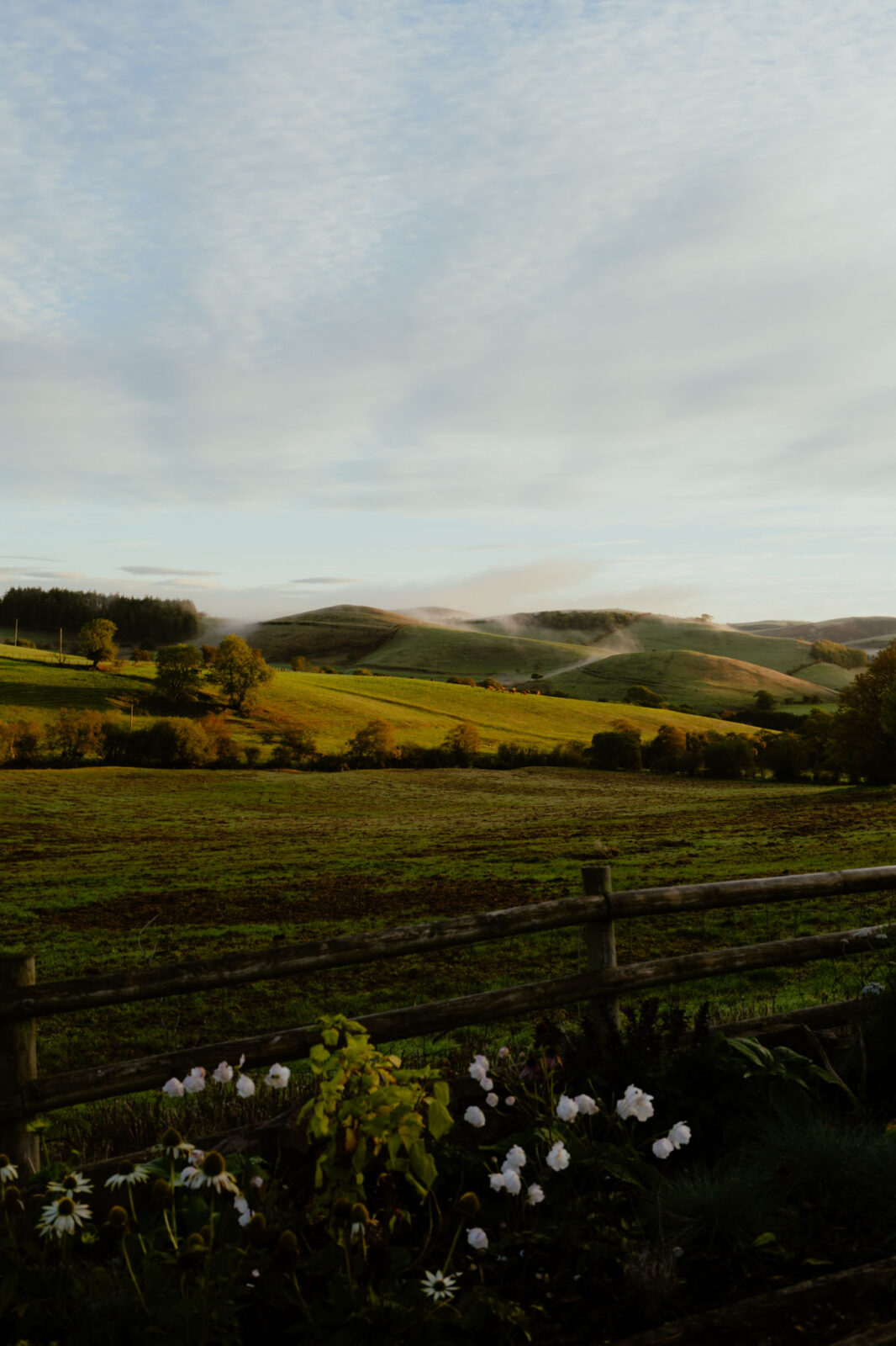 Early morning view over a rustic wooden fence and white garden flowers to golden-lit fields and mist-wrapped rolling hills under a pale sky.
