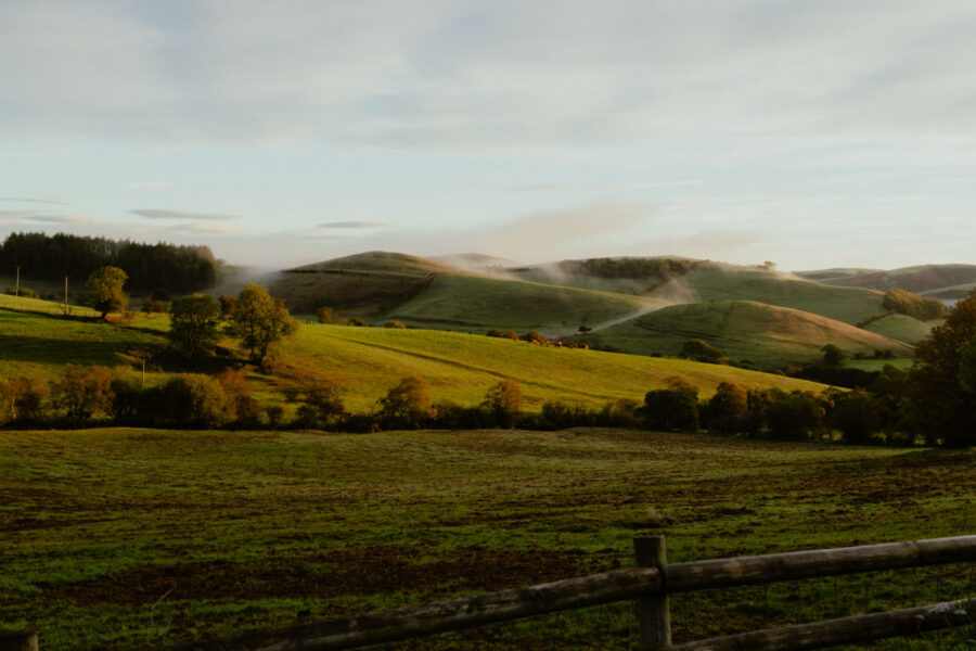 Early morning view over a rustic wooden fence and white garden flowers to golden-lit fields and mist-wrapped rolling hills under a pale sky.